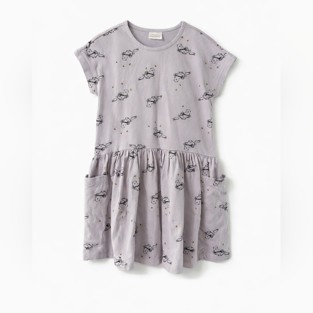 Hanna Andersson Banjo Beavers Dress Size 130 (8) Organic Cotton Pocket Dress